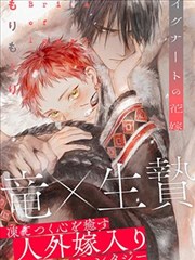 有色漫画练习档案封面：岩灰色的证词